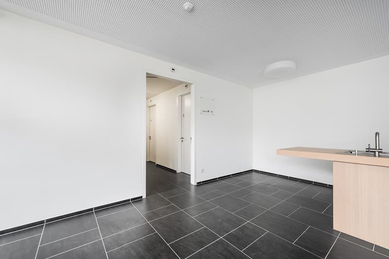 Representative commercial space on the ground floor 376 m² with its own entrance (7)