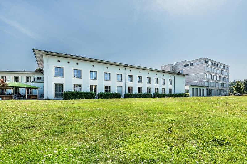 Representative commercial space on the ground floor 376 m² with its own entrance (10)