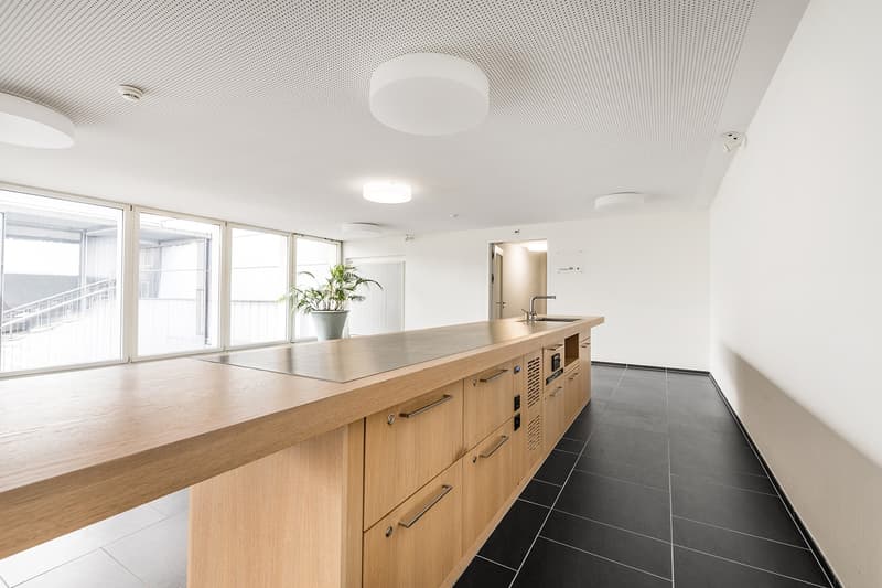 Representative commercial space on the ground floor 376 m² with its own entrance (5)
