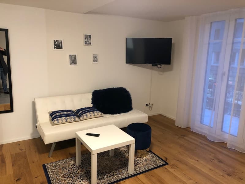 Gemütliche Wohnung perfekt für Wochenaufenthalter oder Studenten (3)