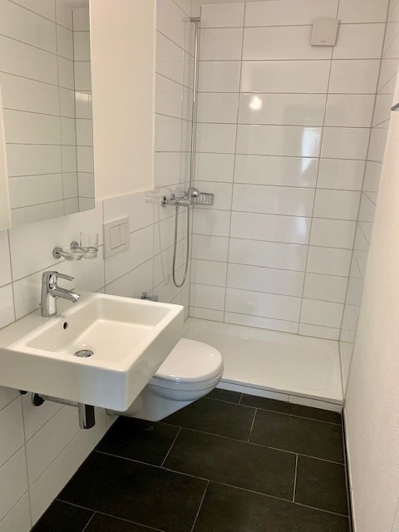 Ampio appartamento di 6,5 locali a Winterthur-Seen (5)