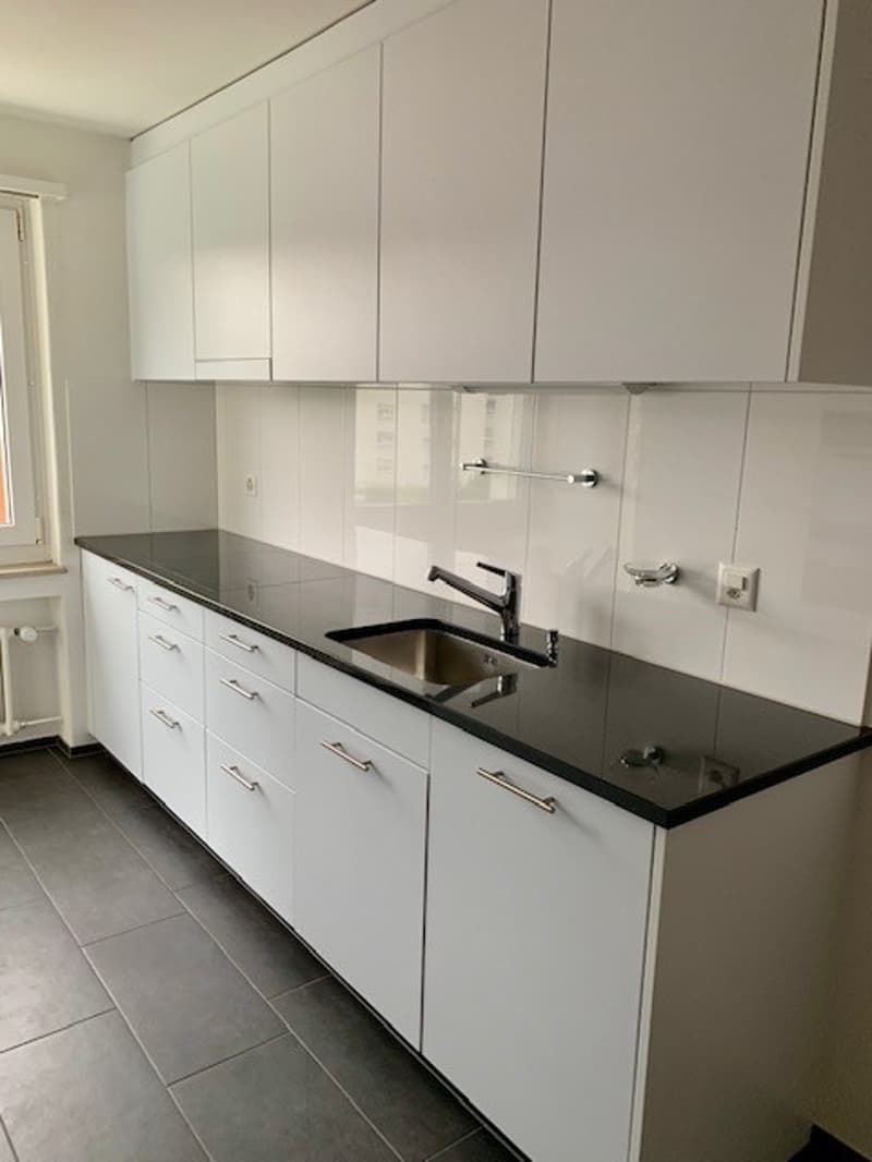 Ampio appartamento di 6,5 locali a Winterthur-Seen (1)