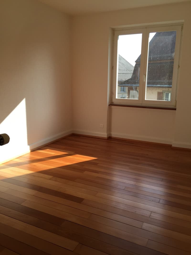 Charmante 3 Zimmer Wohnung an praktischer Lage (5)