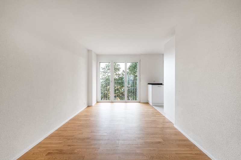 Freshly renovated 3.5-room apartment on the outskirts of Oberwinterthur (3)
