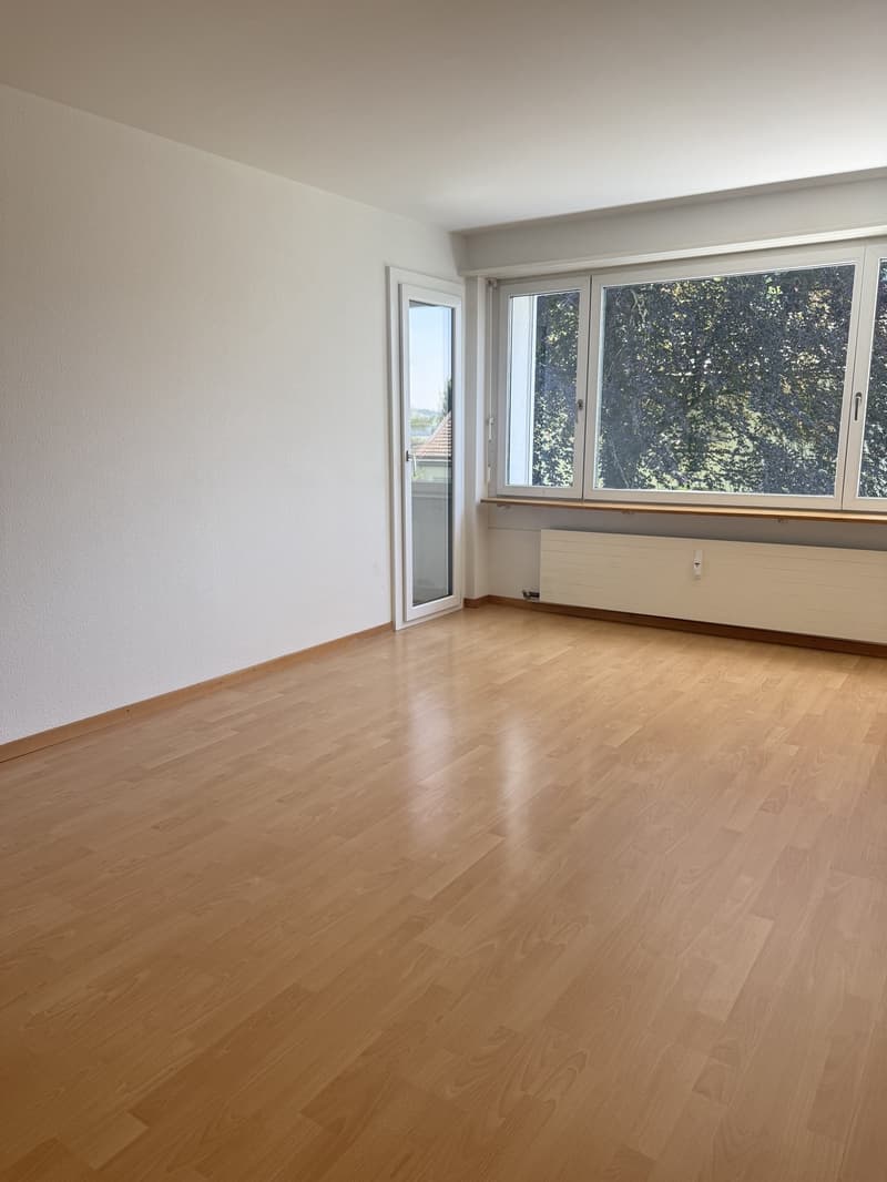 Charming 2.0-room apartment in St. Gallen (2)