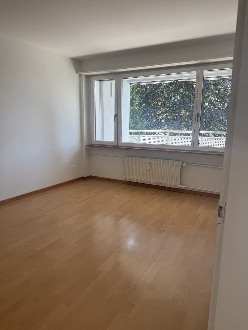 Charming 2.0-room apartment in St. Gallen (5)
