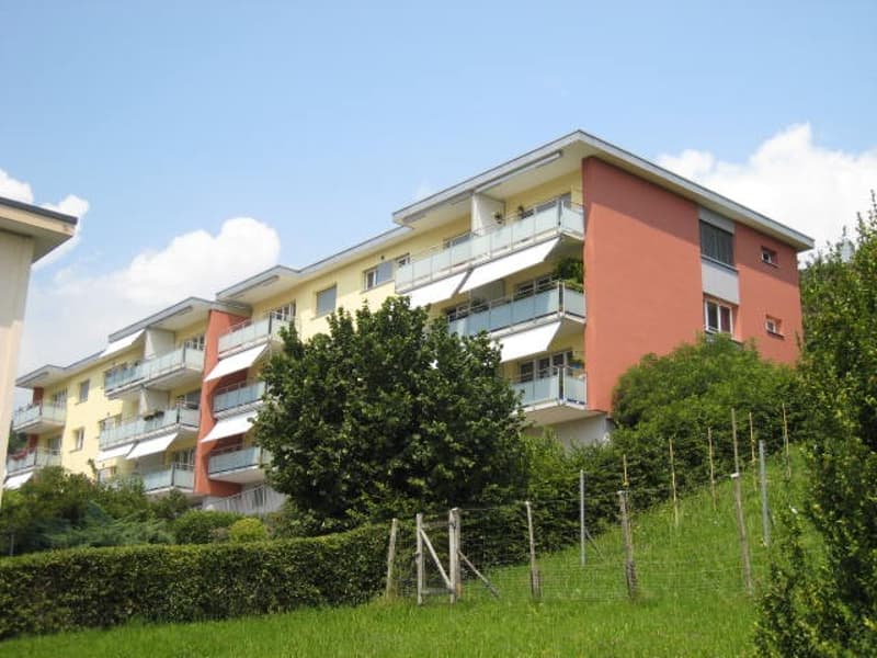 2-room apartment with practical floor plan in Schmerikon (5)