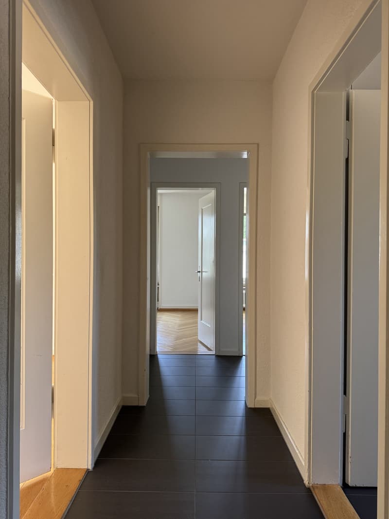Appartamento di 3 locali a Zürich-Wollishofen (7)