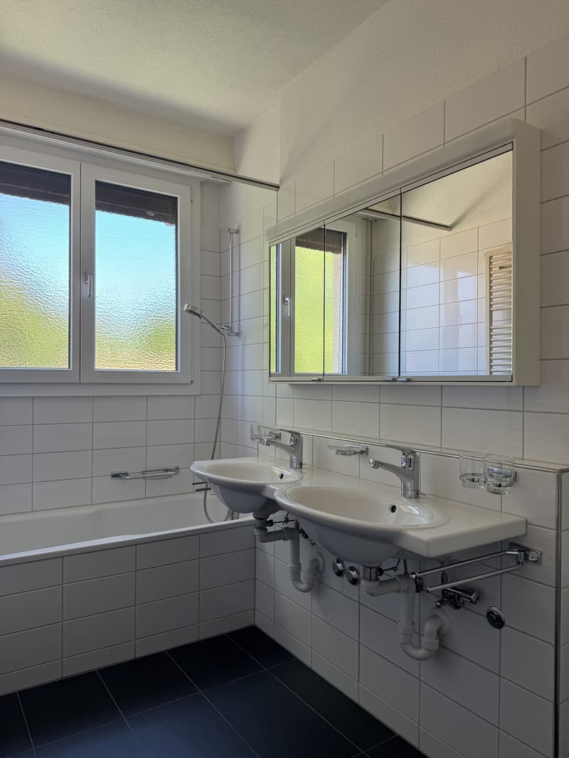 Appartamento di 3 locali a Zürich-Wollishofen (5)