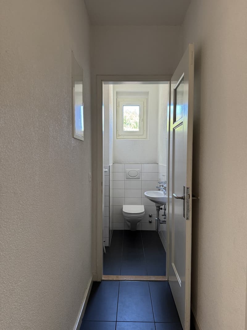 Appartamento di 3 locali a Zürich-Wollishofen (6)