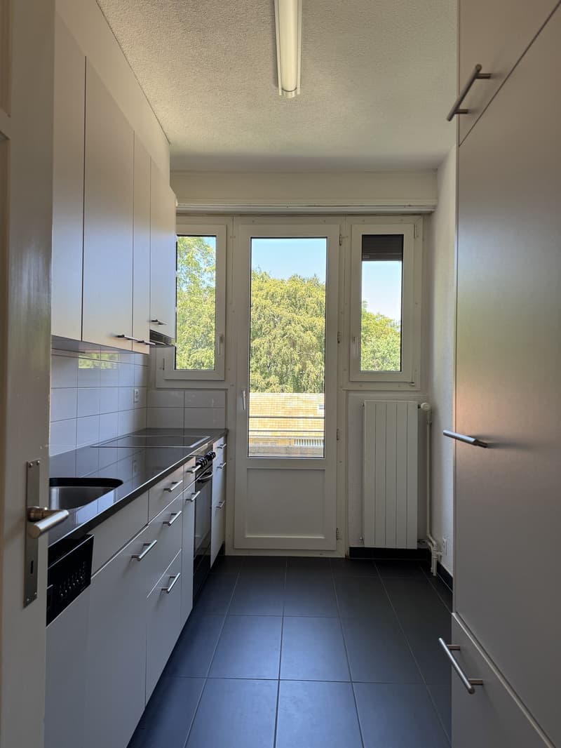 Appartamento di 3 locali a Zürich-Wollishofen (4)