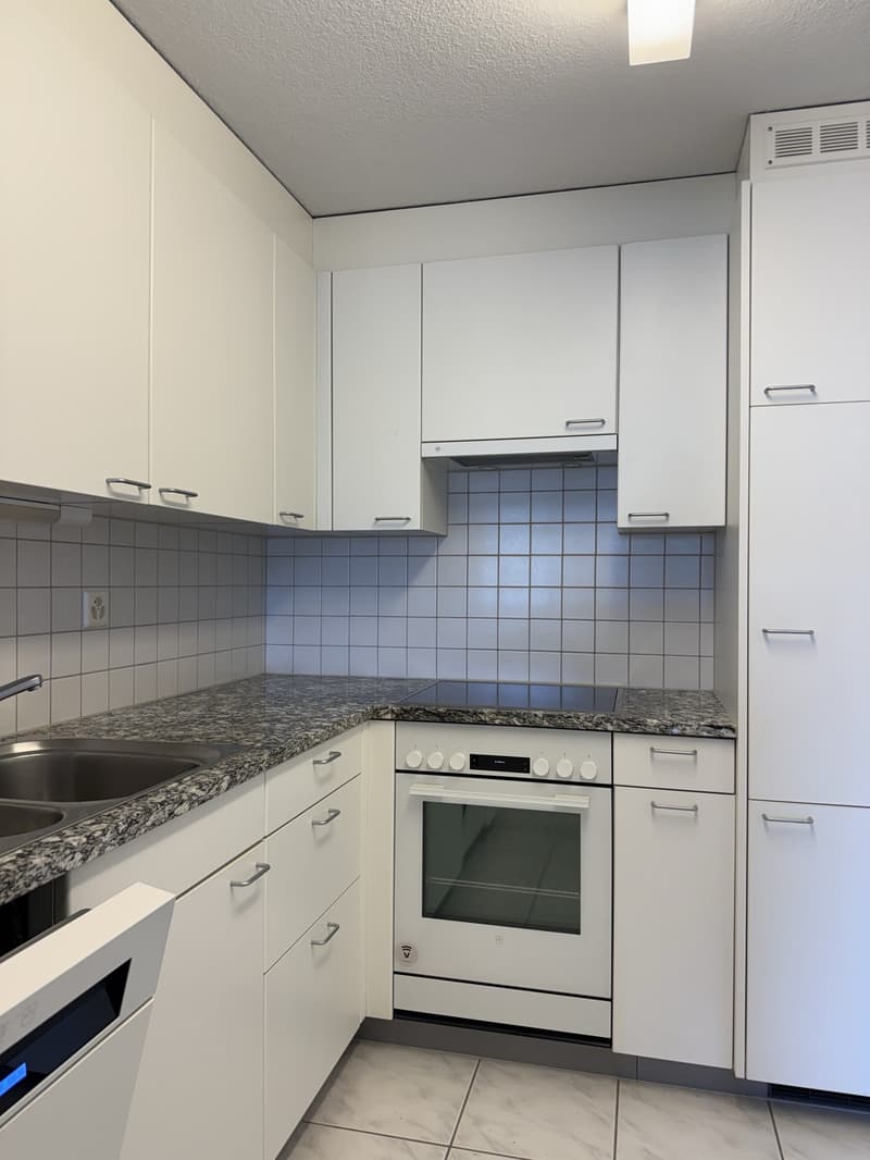 Spacious 3-room apartment with seating area at Unterortstrasse 14 in Au (4)