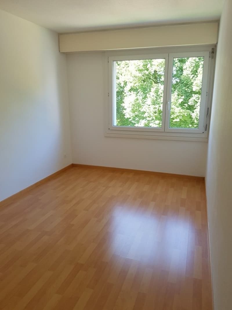 Appartement confortable de 3,5 pièces au bord de la forêt de Dättnau (6)