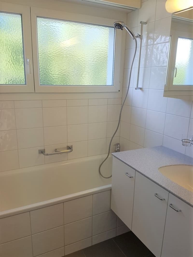 Appartement confortable de 3,5 pièces au bord de la forêt de Dättnau (4)