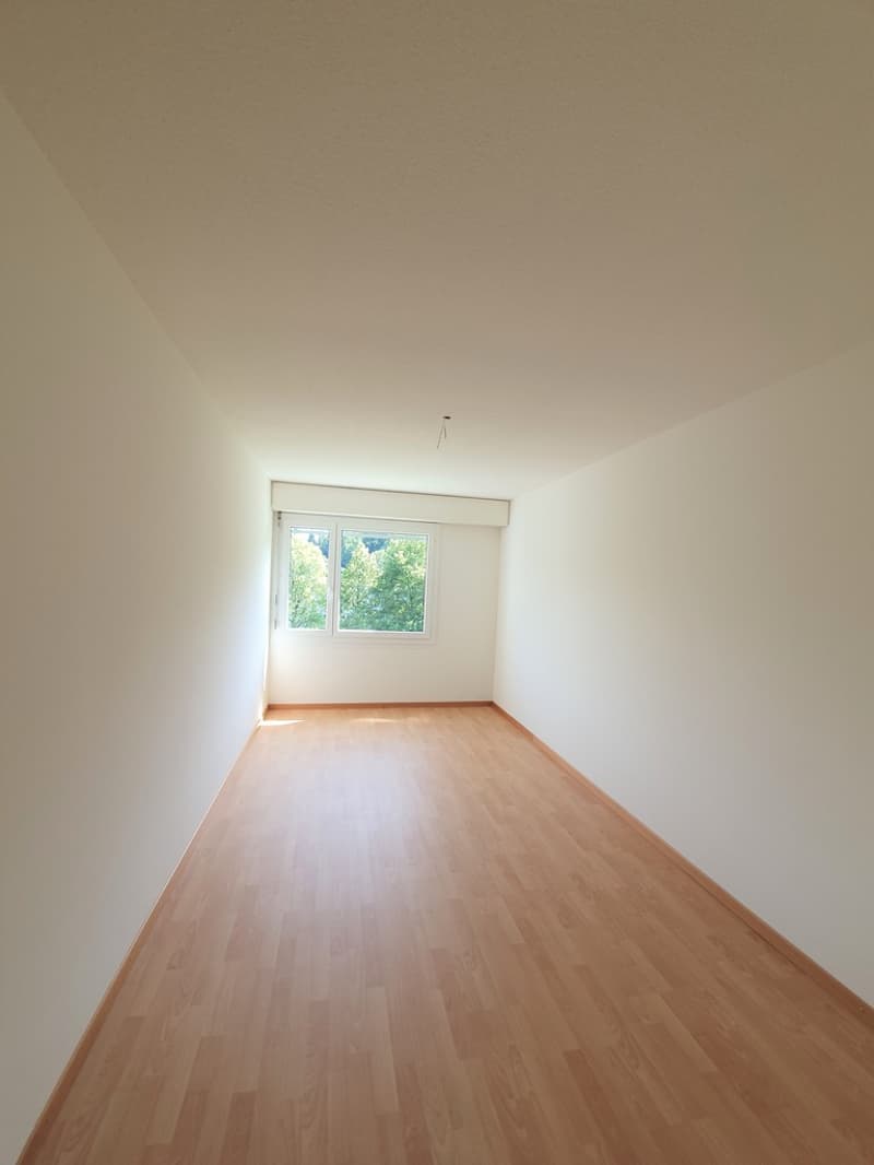 Appartement confortable de 3,5 pièces au bord de la forêt de Dättnau (5)