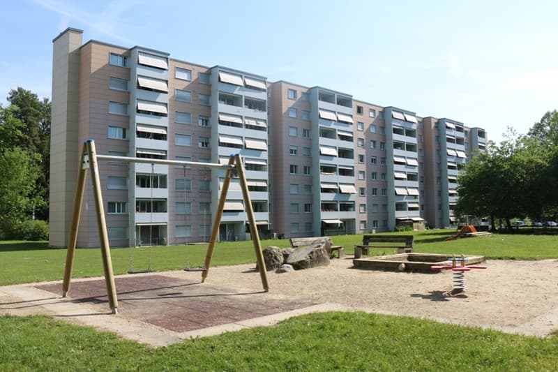 Appartement confortable de 3,5 pièces au bord de la forêt de Dättnau (1)