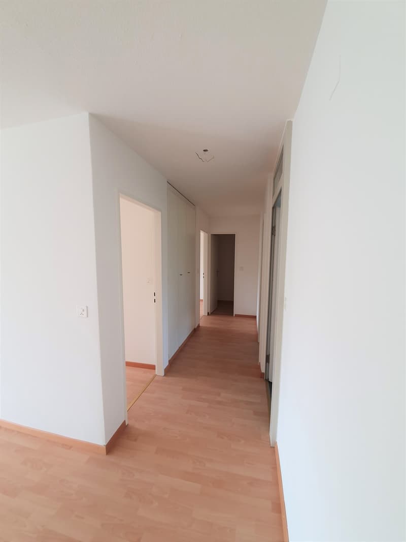 Appartement confortable de 3,5 pièces au bord de la forêt de Dättnau (7)
