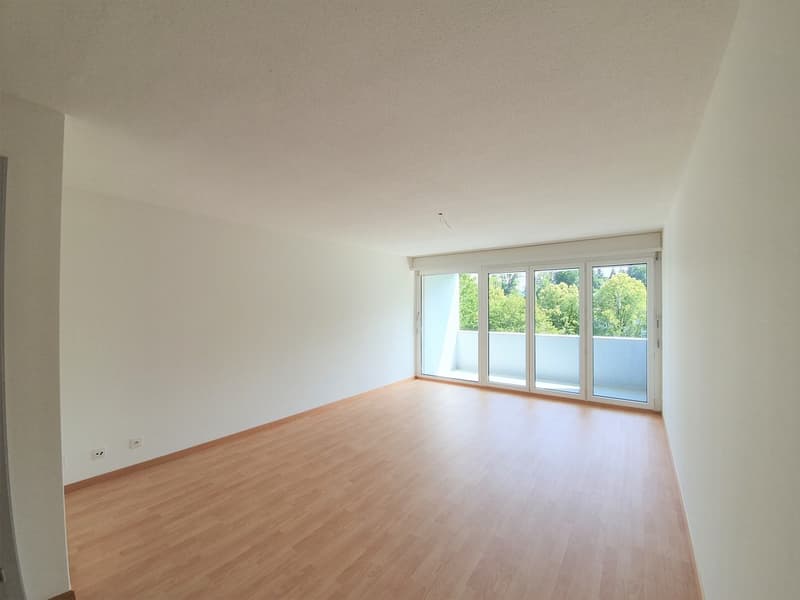 Appartement confortable de 3,5 pièces au bord de la forêt de Dättnau (2)
