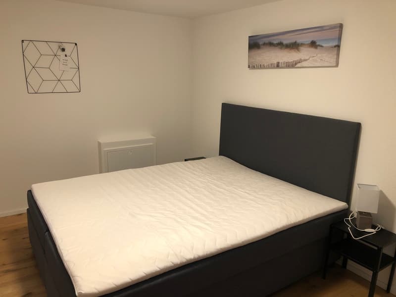 Cozy apartment perfect for weekly commuters or students (4)