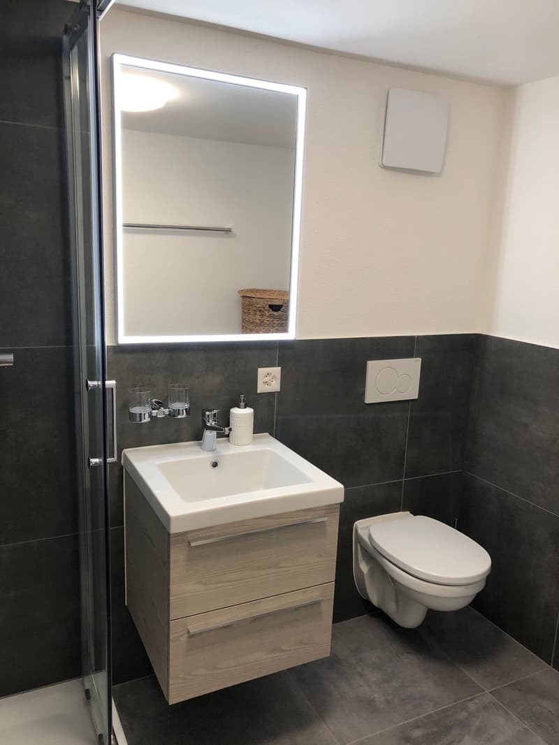 Cozy apartment perfect for weekly commuters or students (5)