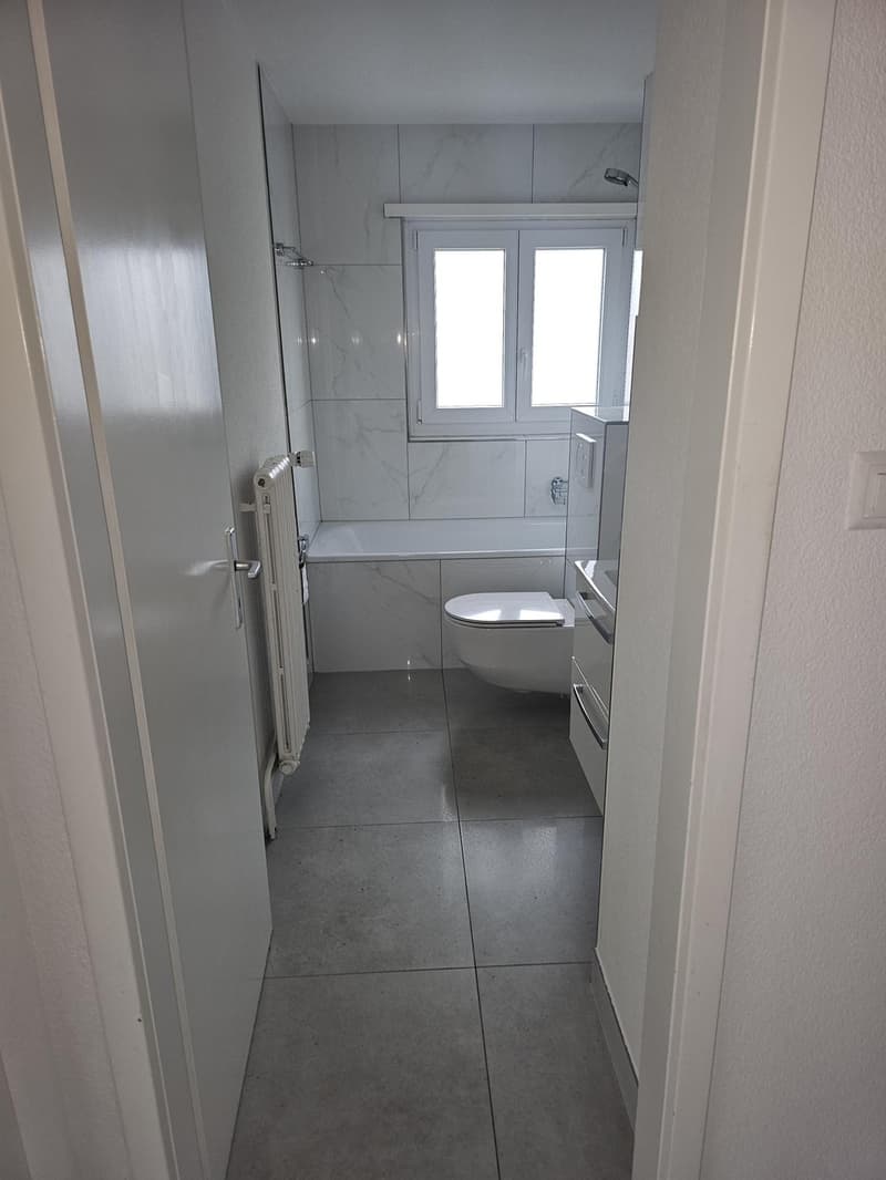 Appartement 3,5 pièces, 4663 Aarburg (3)
