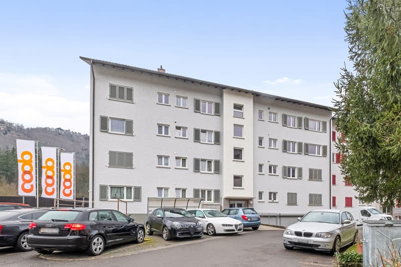Appartement 3,5 pièces, 4663 Aarburg (1)