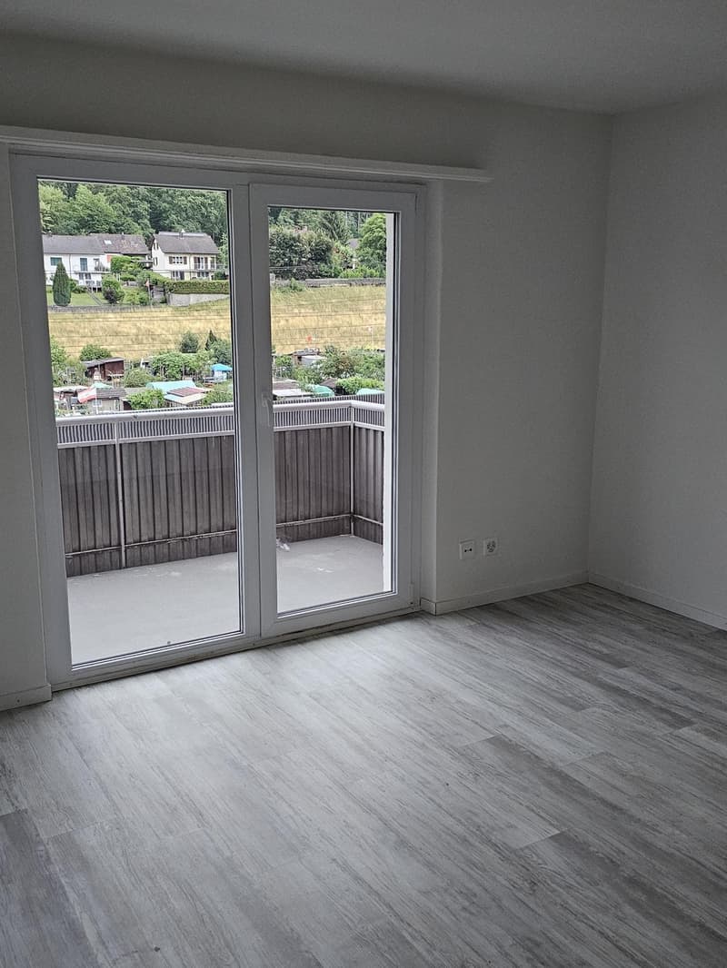 2 ½ Zimmer-Wohnung, 4663 Aarburg (2)