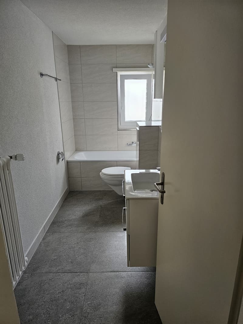 Appartement 4 pièces, 4663 Aarburg (6)