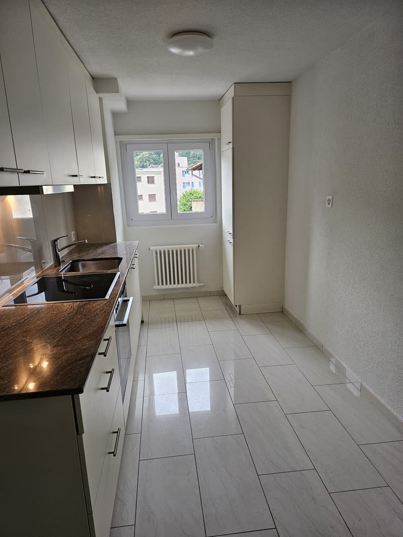Appartement 4 pièces, 4663 Aarburg (3)