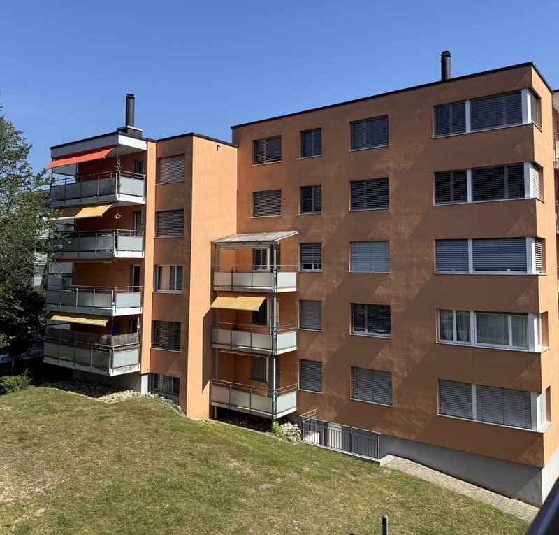 Appartamento accogliente di 3,5 locali a Langwiesen (1)
