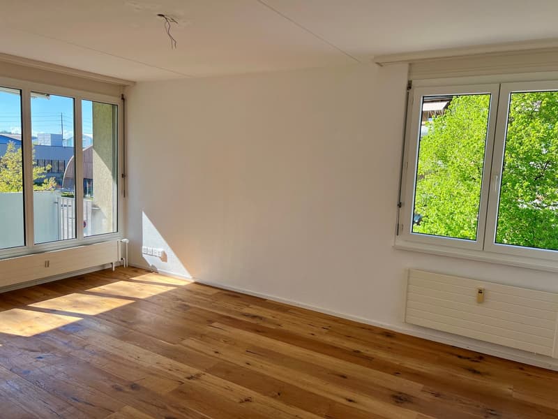 3 ½ pièces appartement, 9532 Rickenbach (2)