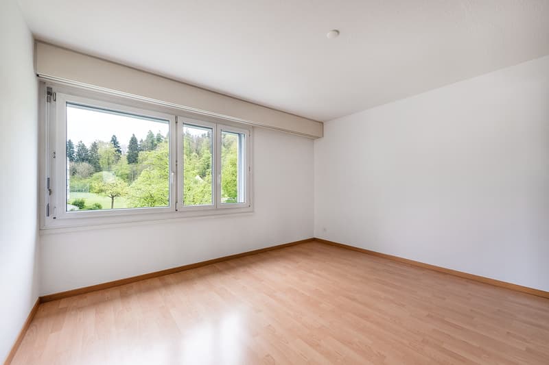 Gemütliche 3-Zimmer-Wohnung am Waldrand von Dättnau (6)