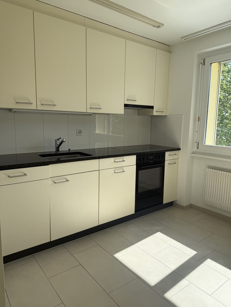 Attractive 2.0-room apartment with balcony in Langwiesen (2)