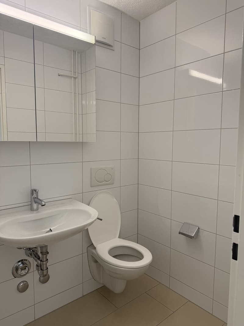Attractive 2.0-room apartment with balcony in Langwiesen (4)