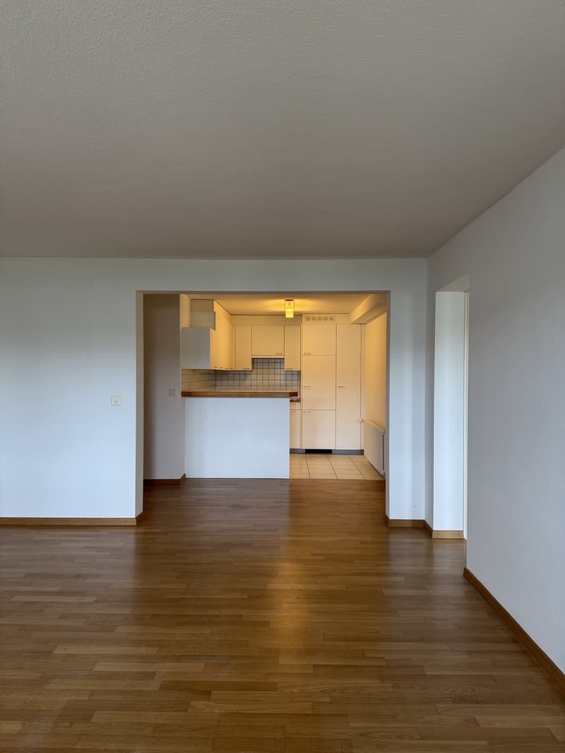 Spacious 3-room apartment with seating area at Unterortstrasse 14 in Au (1)