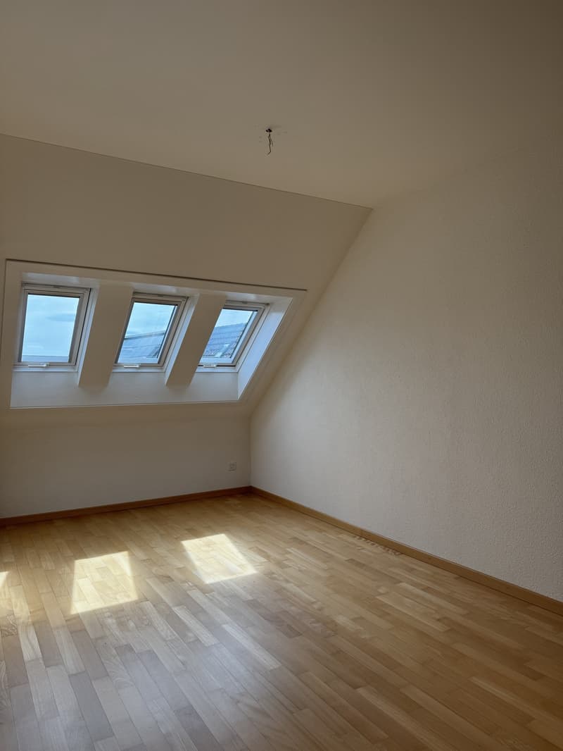 Bright 5.5-room apartment on the top floor with a spacious floor plan in Hausen am Albis (10)