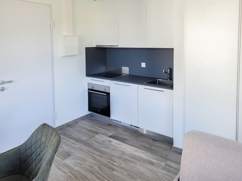 gemütliche 1,5-Zimmerwohnung (2)