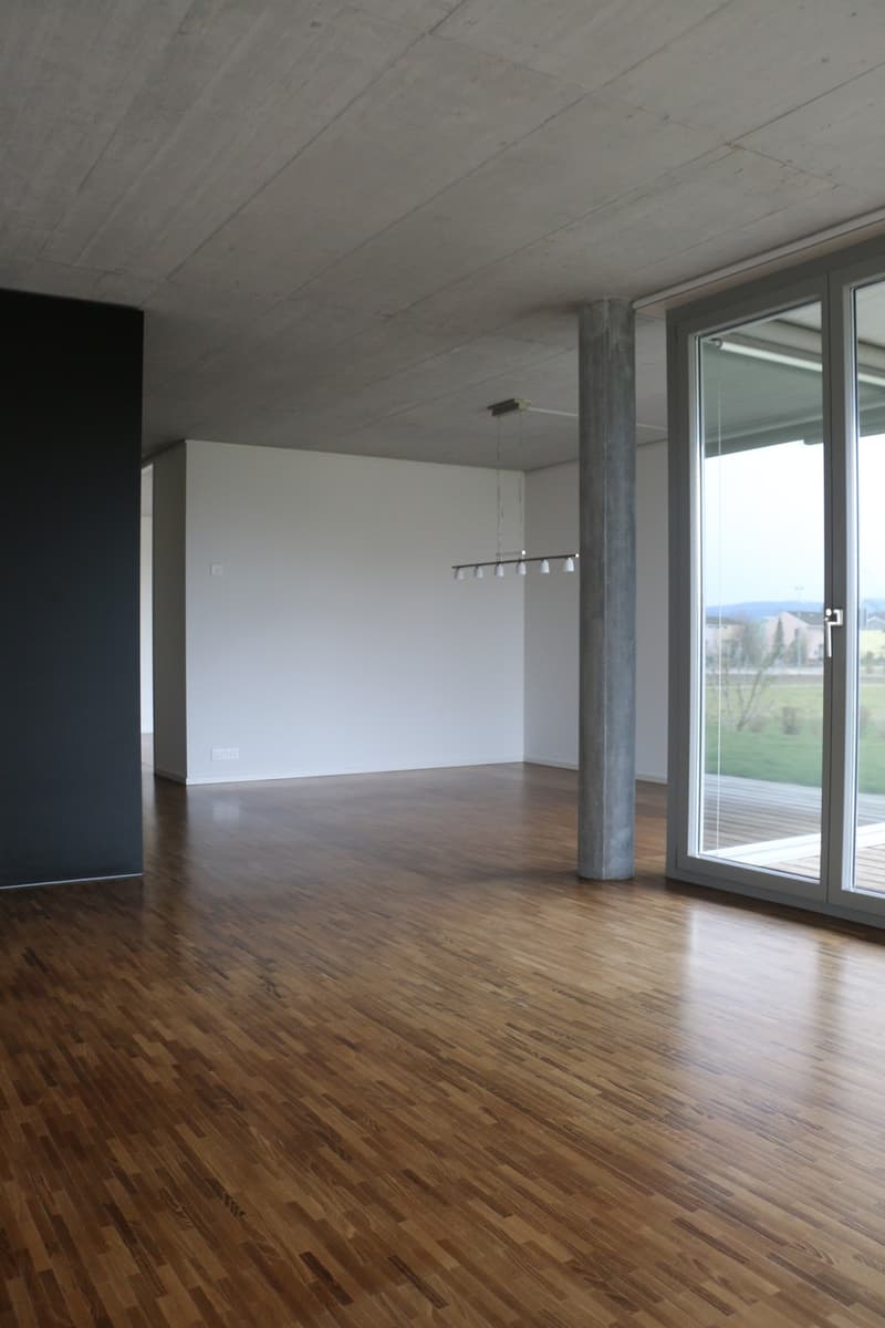 Wohnen, wo Komfort und Lebensqualität sich treffen - Ihre Traumwohnung in Wiesendangen! (2)
