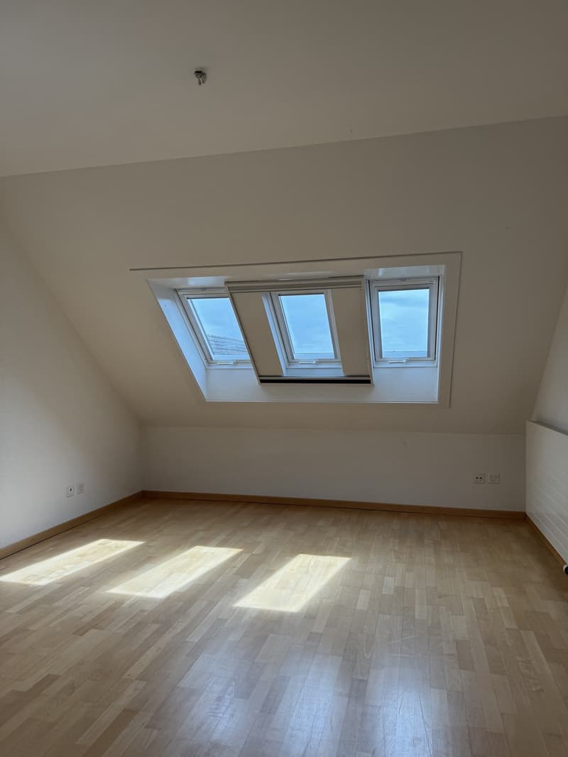 Helle 5.5-Zimmerwohnung im DG mit grosszügigem Grundriss in Hausen am Albis (7)