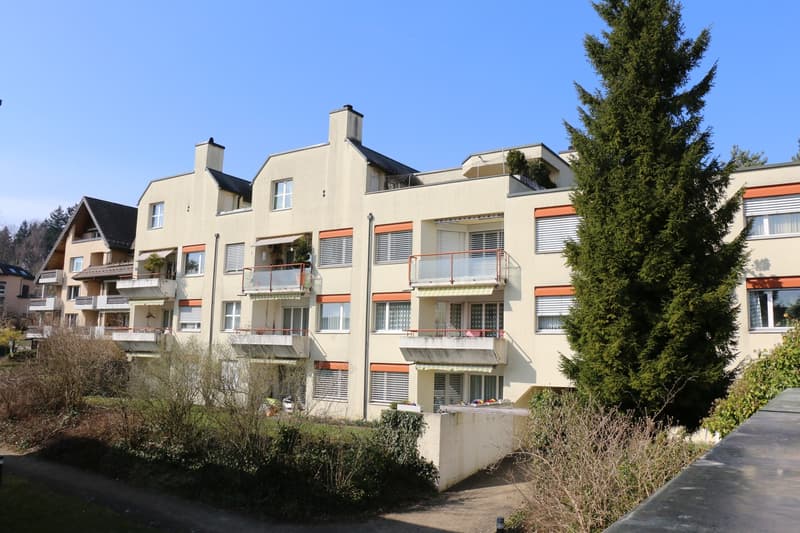 4 ½ Zimmer-Wohnung, 8049 Zürich (1)