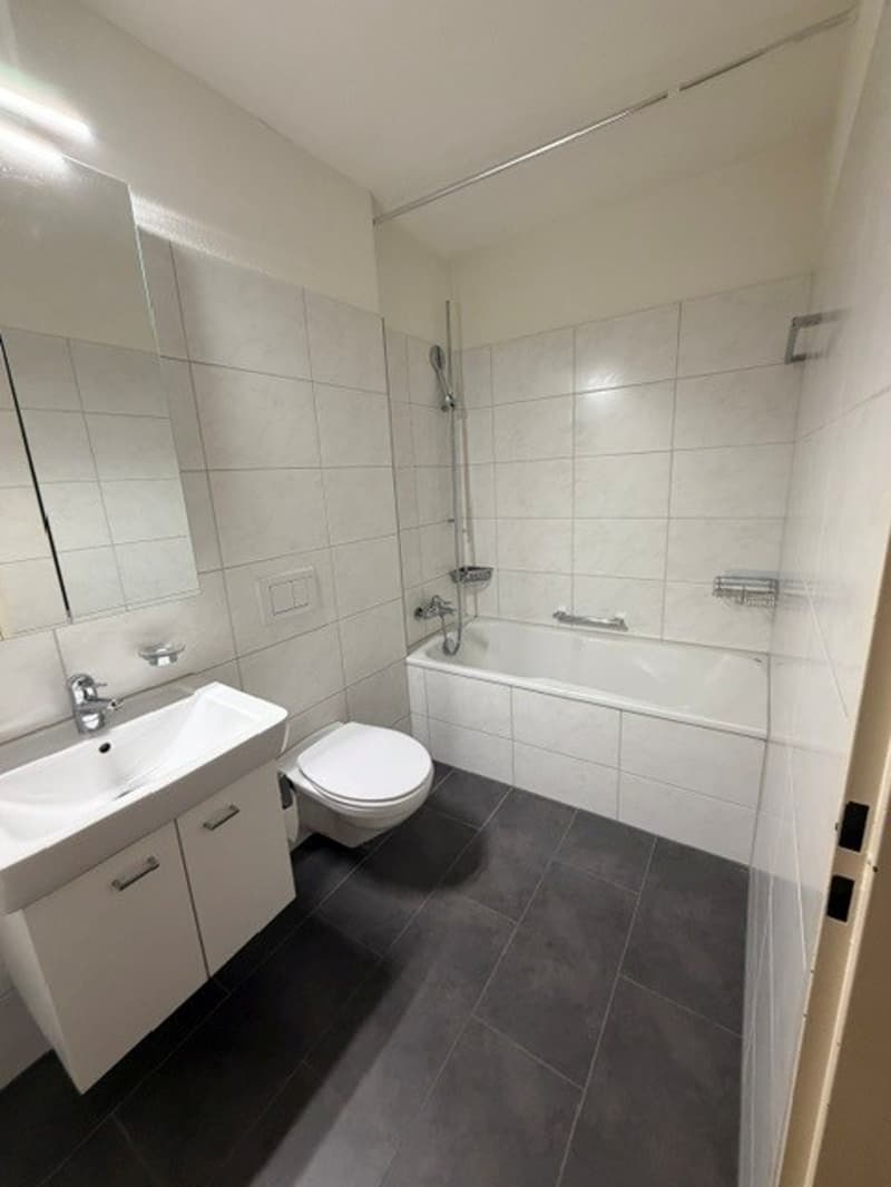 3 Zimmer-Wohnung, 8632 Tann (5)