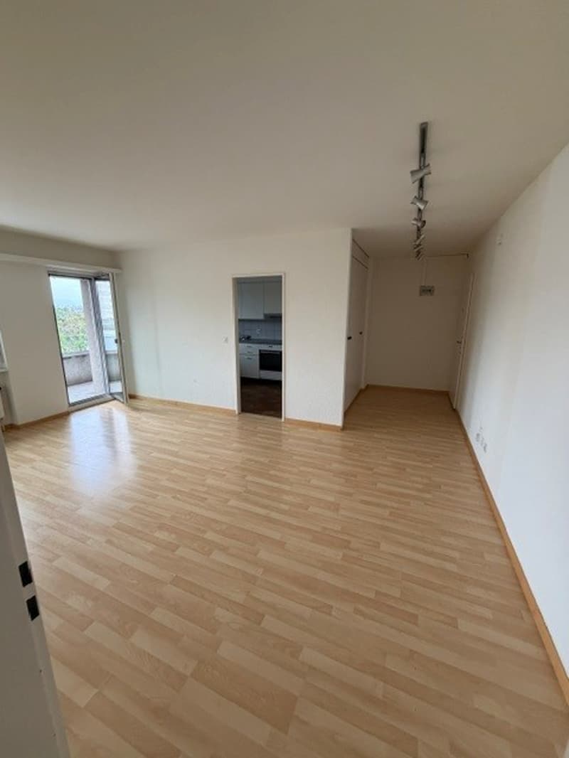 3 Zimmer-Wohnung, 8632 Tann (2)