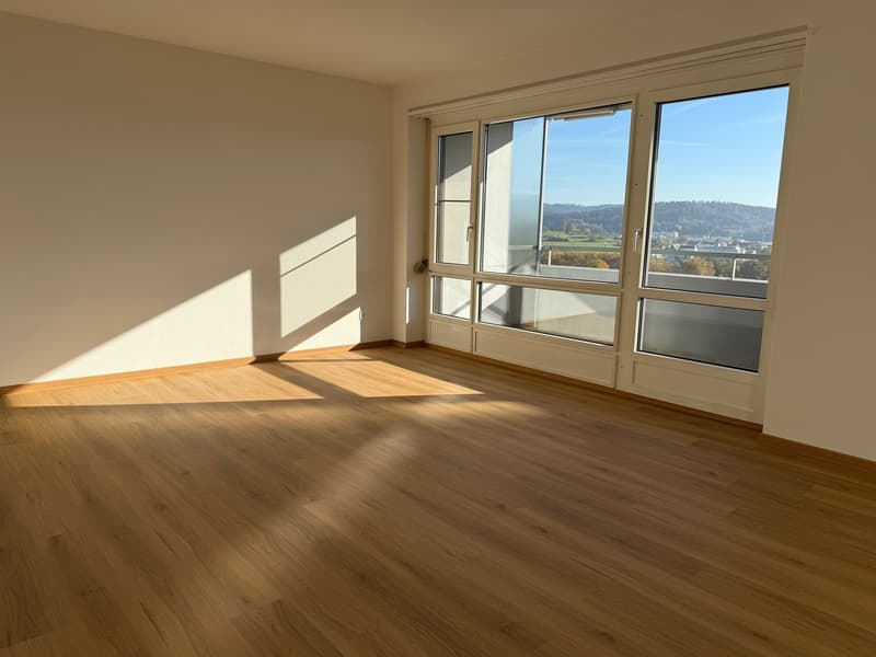 3 Zimmer-Wohnung, 8404 Winterthur (2)