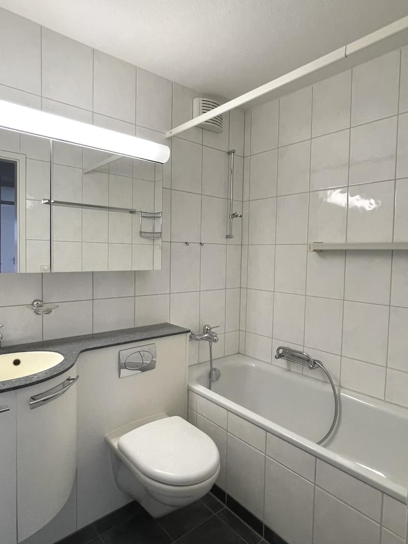 3 Zimmer-Wohnung, 8404 Winterthur (7)