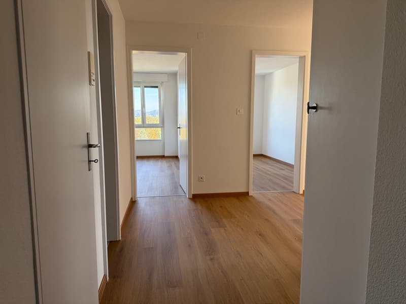 3 Zimmer-Wohnung, 8404 Winterthur (5)