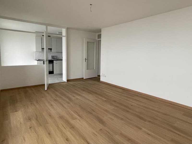 3 Zimmer-Wohnung, 8404 Winterthur (3)