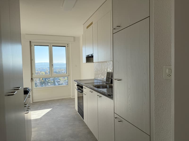 3 Zimmer-Wohnung, 8404 Winterthur (4)