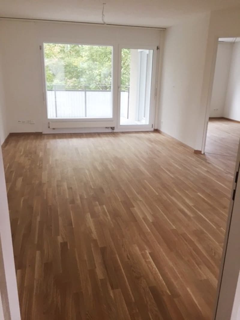 4 ½ Zimmer-Wohnung, 8049 Zürich (3)