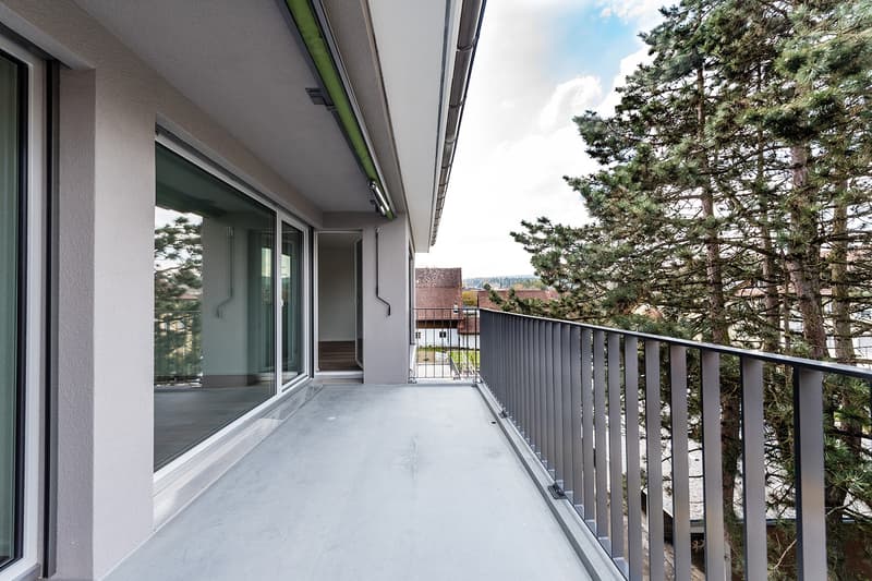 3 ½ Zimmer-Wohnung, 8405 Winterthur (3)