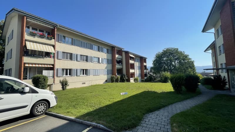 Attraktive 3-Zimmer-Wohnung an guter Lage in Horgen (1)